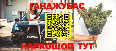 Альфа ПВП Моздок