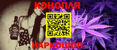 Альфа ПВП Моздок