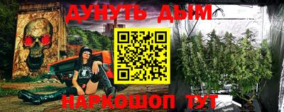 Альфа ПВП Моздок