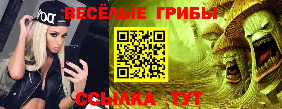 Галлюциногенные грибы прущие грибы Черняховск