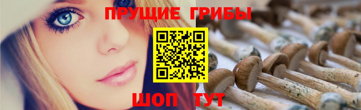 Черняховск  Псилоцибиновые грибы Psilocybe  Галлюциногенные грибы Cubensis  Вход с VPN 